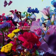 faces absolus allegoria florabloom