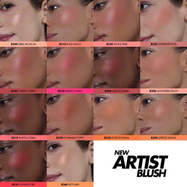 Artist Face Powder Blush faces artist face powder blush