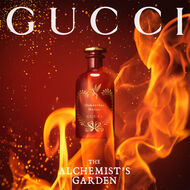 The Alchemist's Garden Osmanthus Nectar faces the alchemist s garden osmanthus nectar