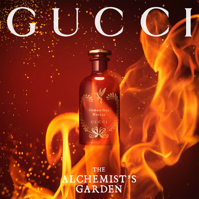 gucci the alchemist's garden osmanthus nectar