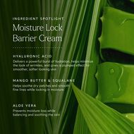 faces moisture lock overnight mask