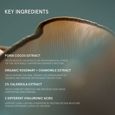faces superfood repairing plumping cream